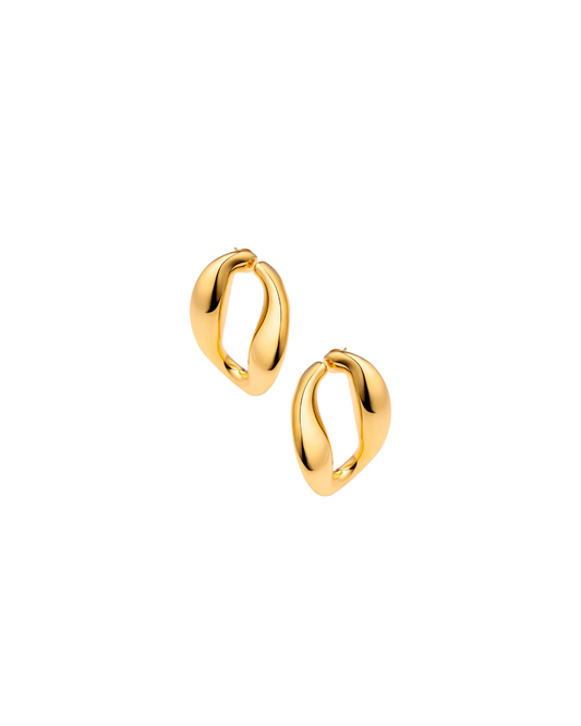 Wild Curve Earrings